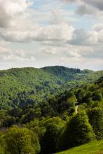 les versants boisés des gorges de l'Ain